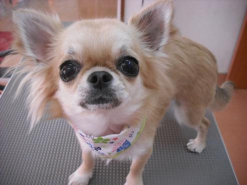 ファイル 347-2.jpg