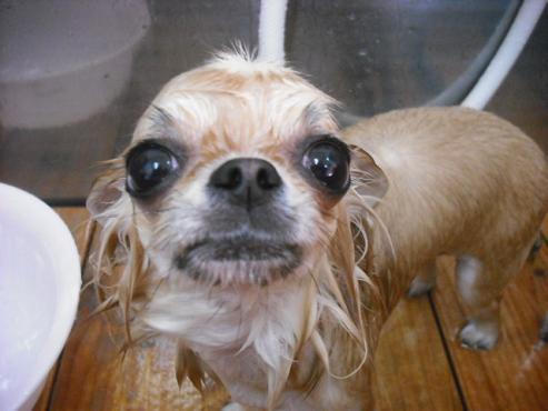 ファイル 347-3.jpg