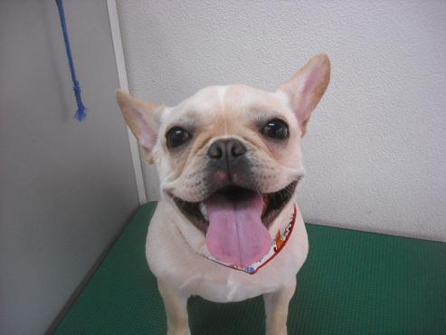 ファイル 3470-1.jpg