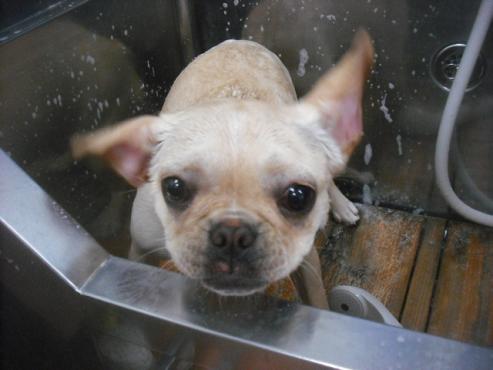 ファイル 3470-2.jpg