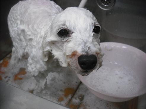 ファイル 3471-2.jpg