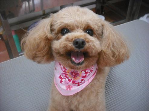 ファイル 3472-1.jpg