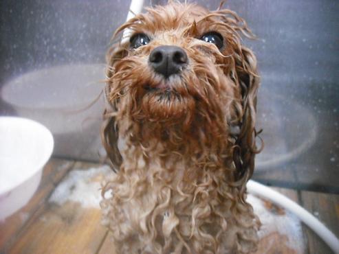 ファイル 3472-2.jpg