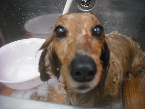 ファイル 3473-2.jpg