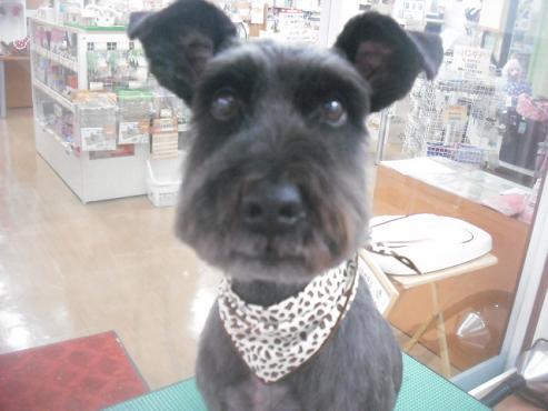 ファイル 3474-1.jpg