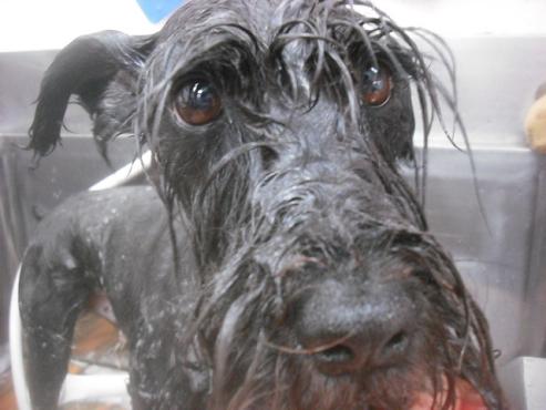 ファイル 3474-2.jpg