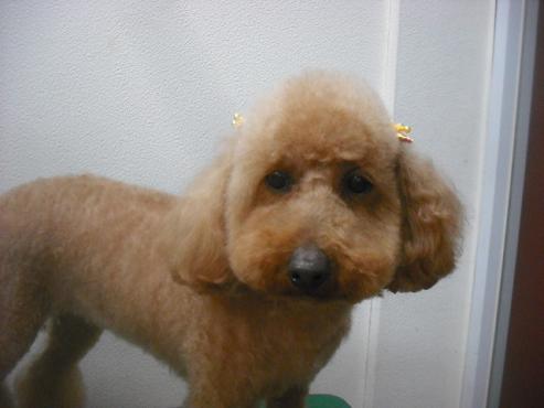 ファイル 3475-1.jpg