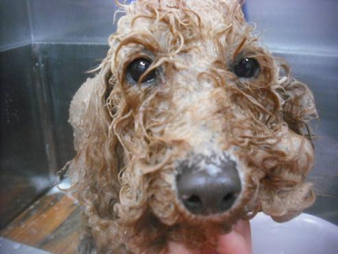 ファイル 3475-2.jpg