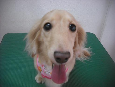 ファイル 3476-1.jpg