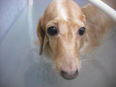 ファイル 3476-2.jpg