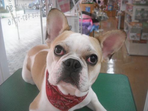 ファイル 3477-1.jpg