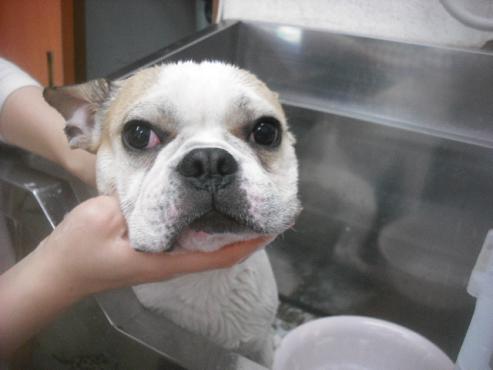 ファイル 3477-2.jpg