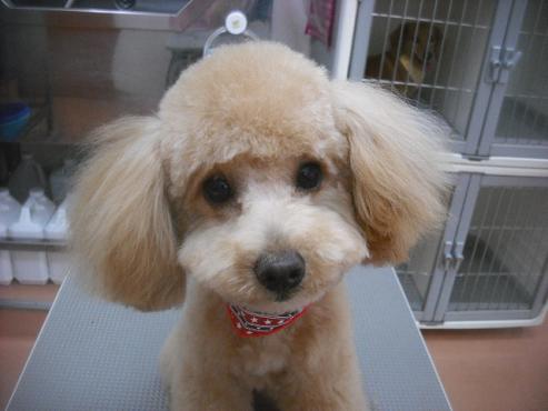 ファイル 3478-1.jpg