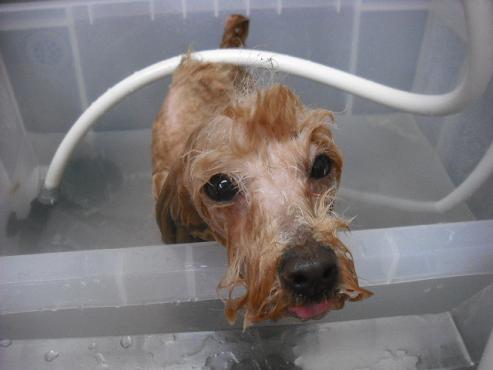 ファイル 3478-2.jpg