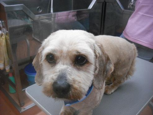 ファイル 3479-1.jpg