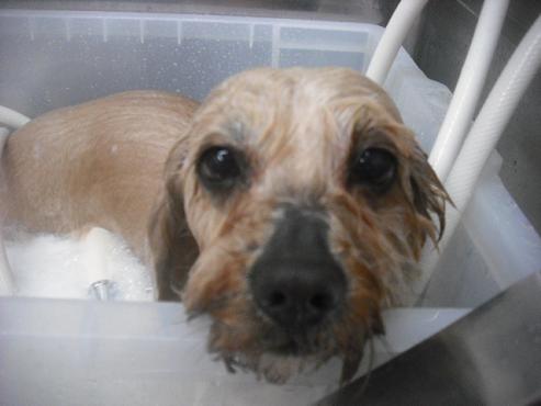 ファイル 3479-2.jpg