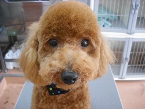 ファイル 348-2.jpg