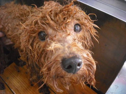 ファイル 348-3.jpg