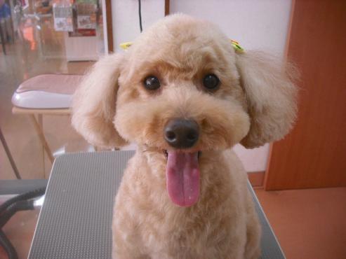 ファイル 3480-1.jpg