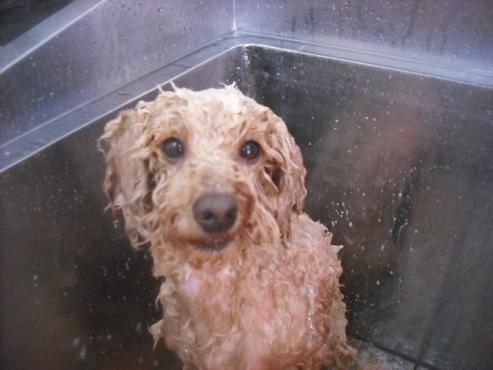 ファイル 3480-2.jpg