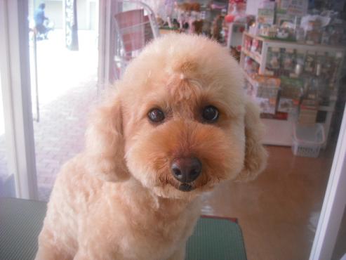 ファイル 3481-1.jpg