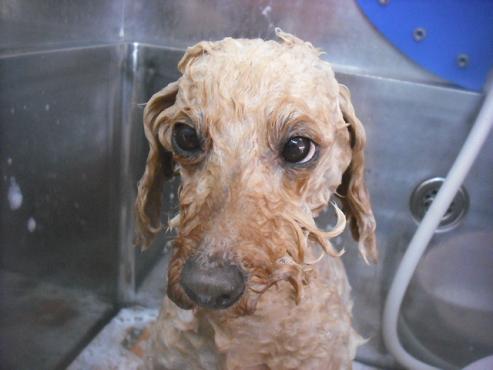 ファイル 3481-2.jpg