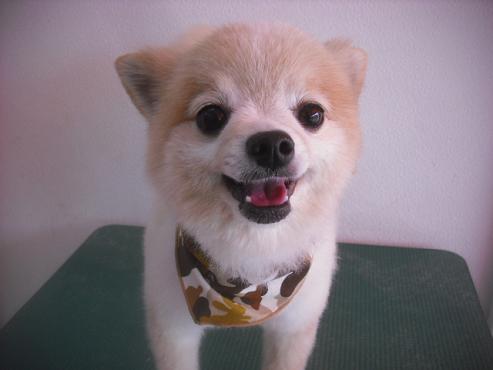 ファイル 3482-1.jpg