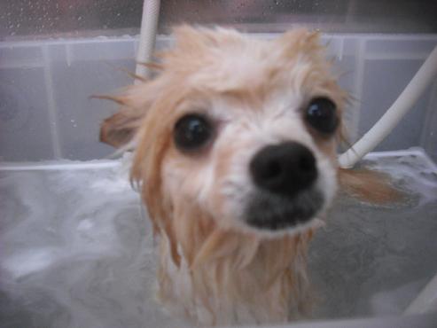 ファイル 3482-2.jpg