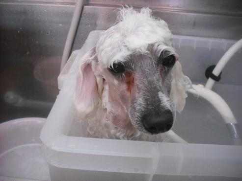 ファイル 3483-2.jpg