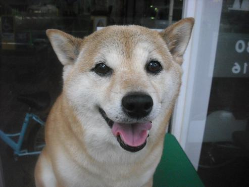 ファイル 3485-1.jpg