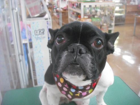 ファイル 3486-1.jpg