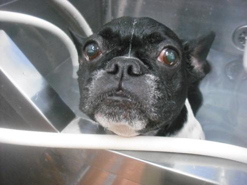 ファイル 3486-2.jpg