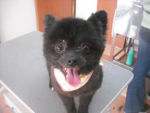 ファイル 3487-1.jpg