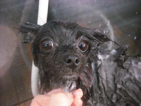 ファイル 3487-2.jpg