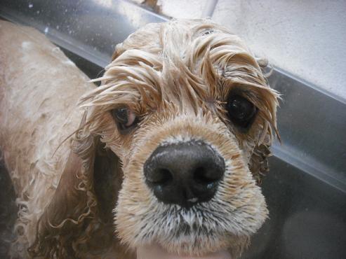 ファイル 3488-1.jpg