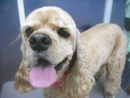 ファイル 3488-2.jpg