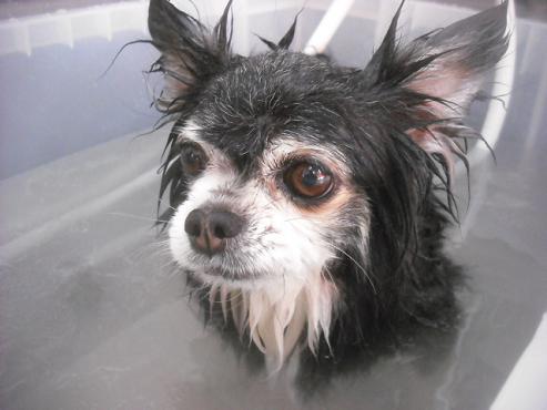 ファイル 3489-2.jpg