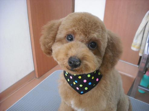 ファイル 349-1.jpg