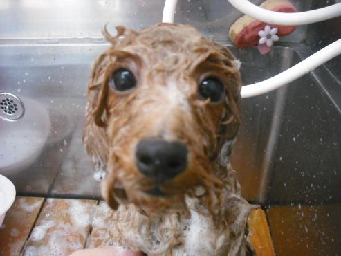 ファイル 349-3.jpg