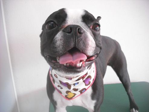 ファイル 3490-1.jpg