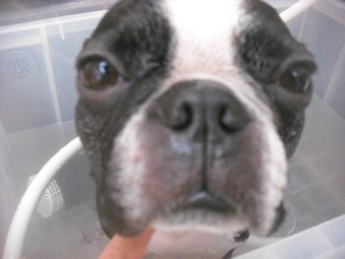 ファイル 3490-2.jpg