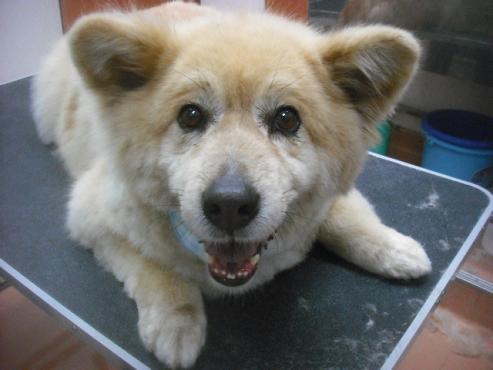 ファイル 3492-1.jpg