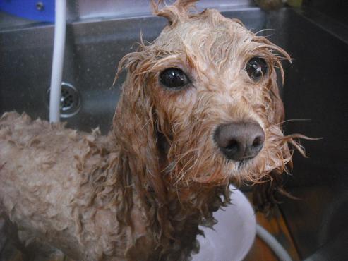 ファイル 3493-2.jpg