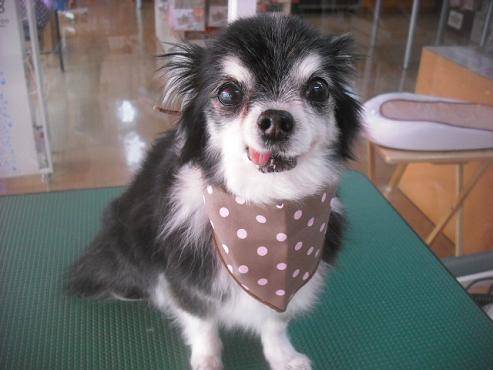 ファイル 3494-1.jpg