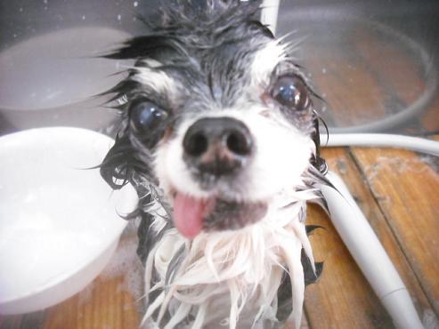 ファイル 3494-2.jpg