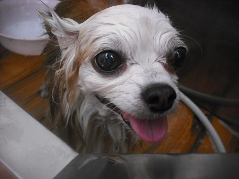 ファイル 3495-2.jpg