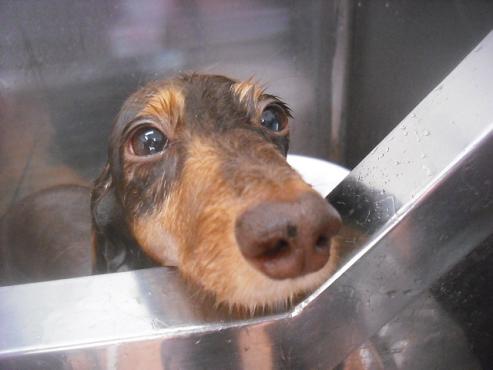 ファイル 3498-2.jpg