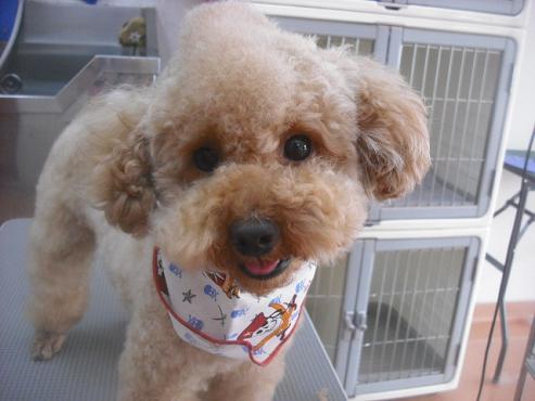 ファイル 3499-1.jpg