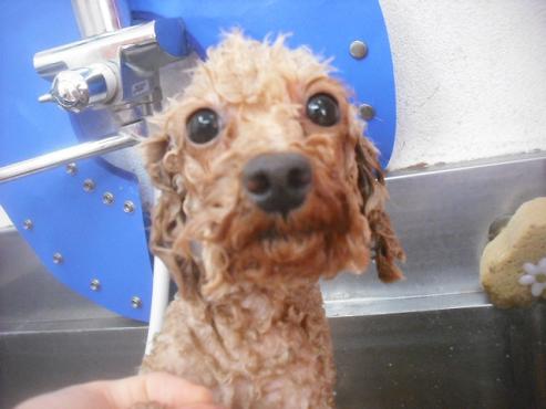 ファイル 3499-2.jpg