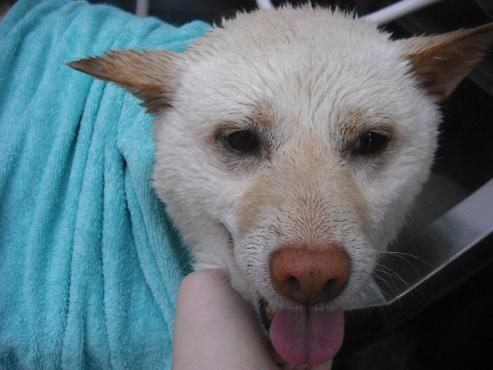 ファイル 35-2.jpg